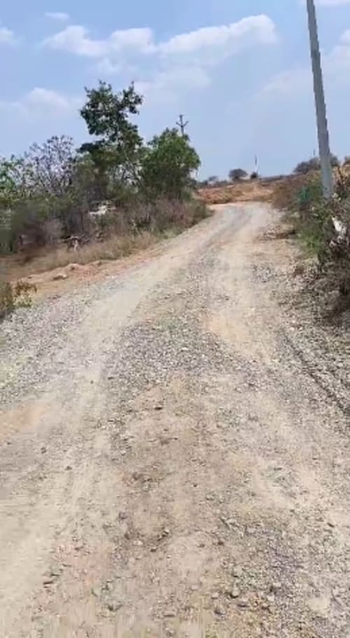 An image of land