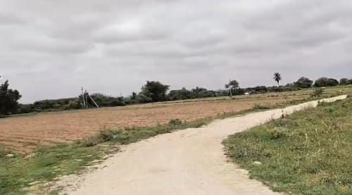 An image of land