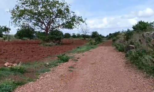 An image of land