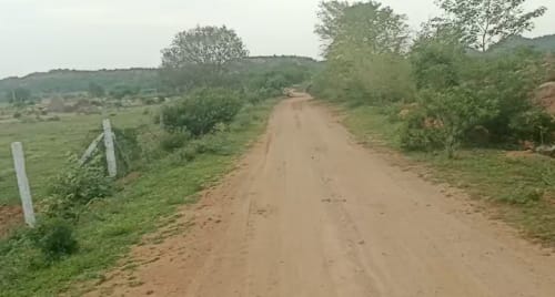 An image of land