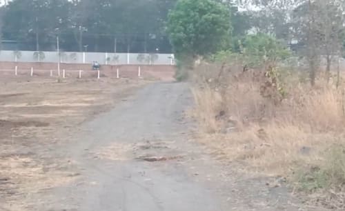 An image of land