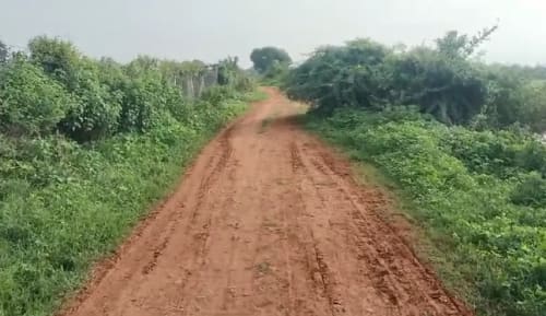 An image of land
