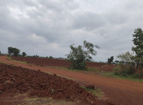 An image of land