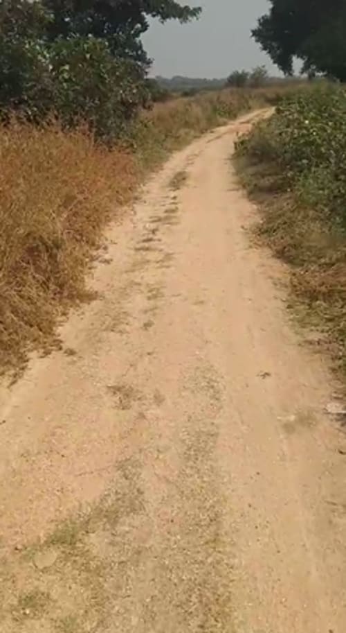 An image of land