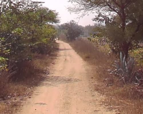 An image of land
