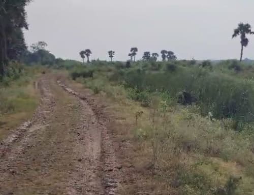 An image of land
