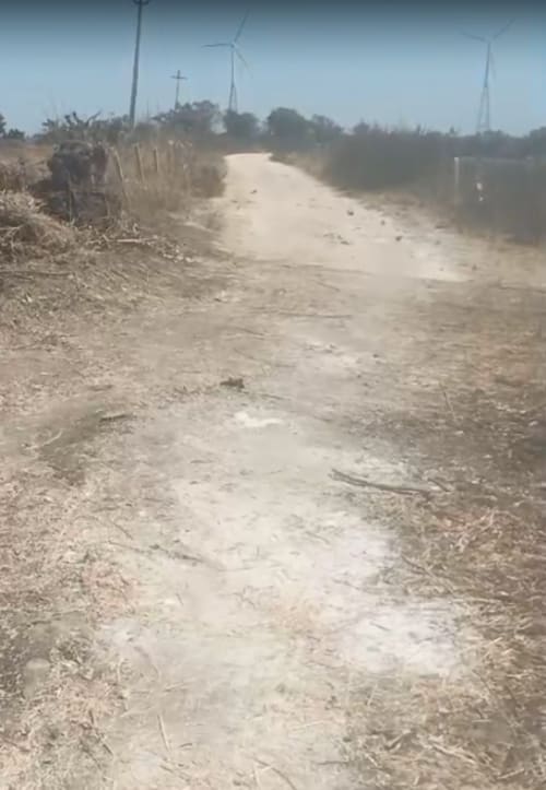 An image of land