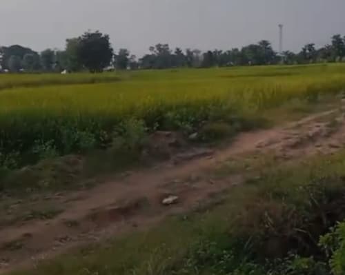 An image of land