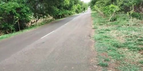An image of land