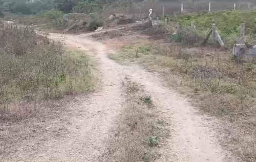 An image of land