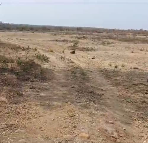 An image of land