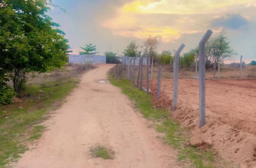 An image of land