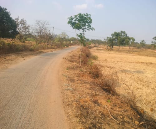 An image of land
