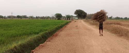 An image of land