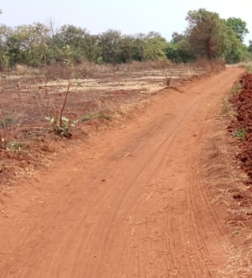An image of land