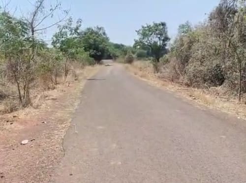 An image of land