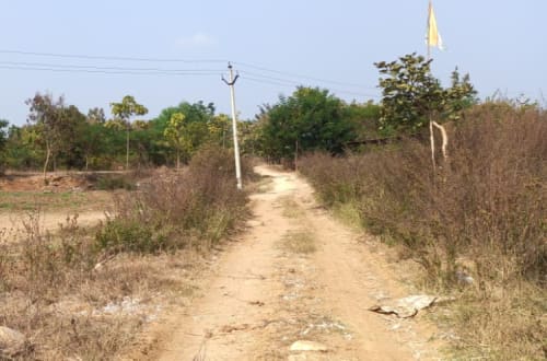An image of land