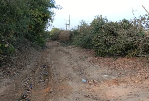 An image of land