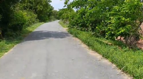 An image of land