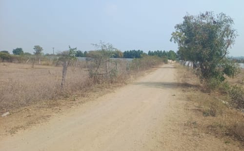 An image of land
