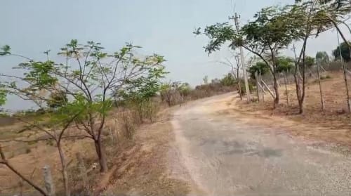 An image of land