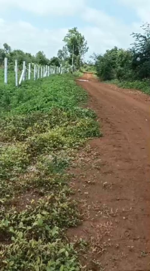 An image of land