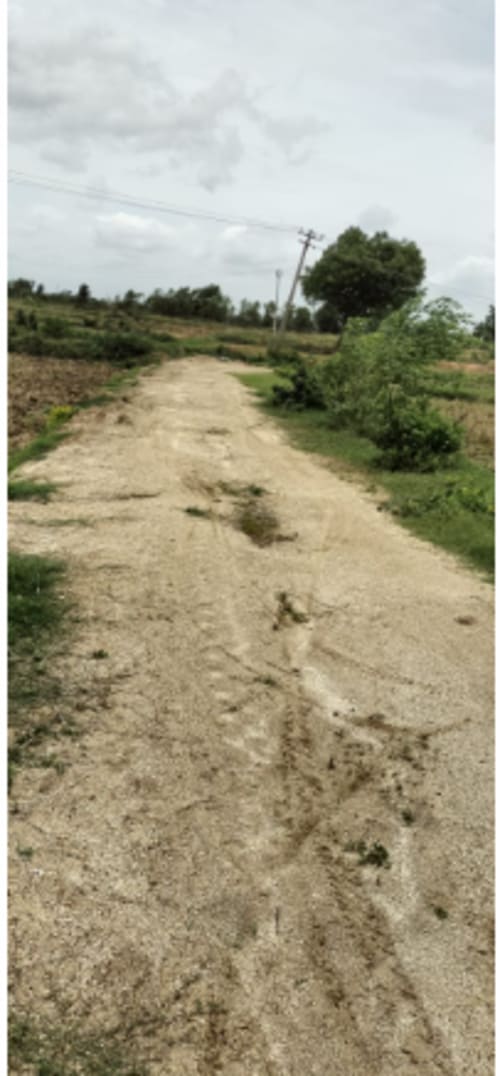 An image of land