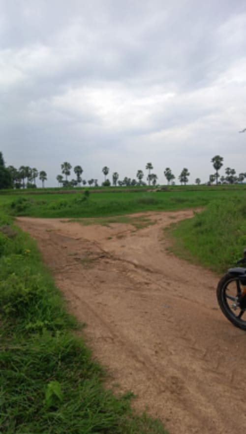 An image of land