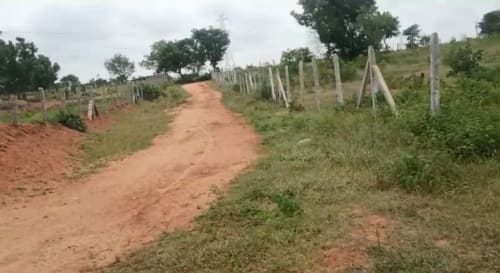 An image of land