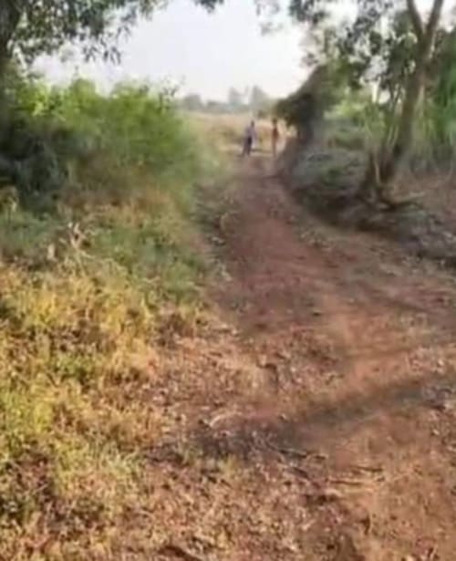 An image of land