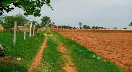 An image of land