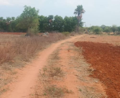 An image of land