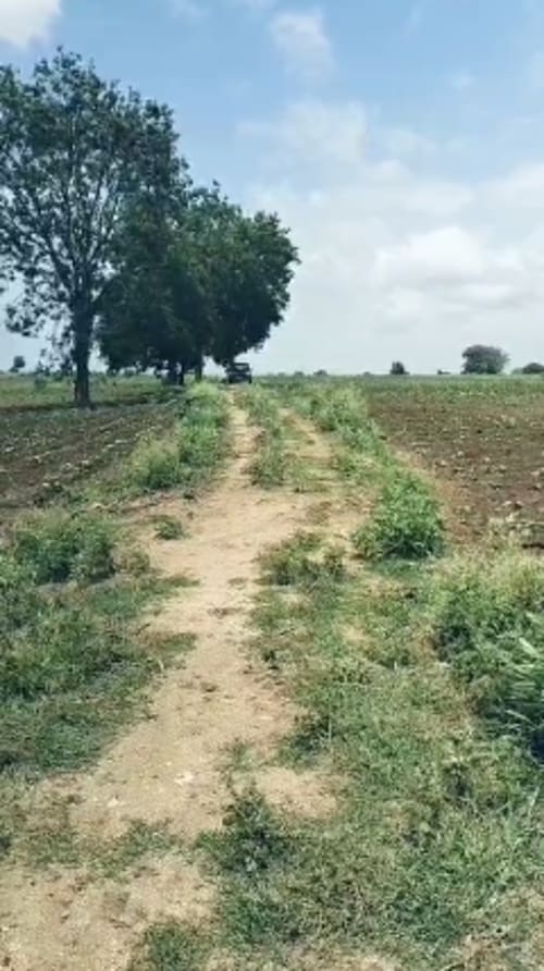 An image of land