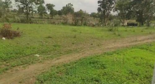 An image of land