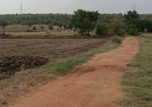 An image of land