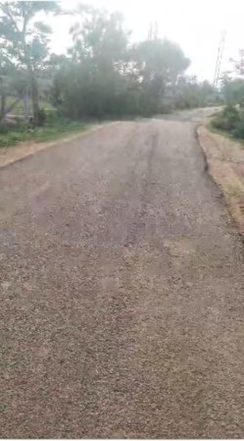 An image of land