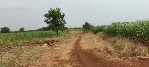 An image of land