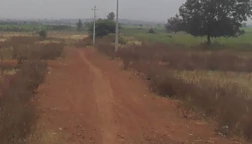 An image of land
