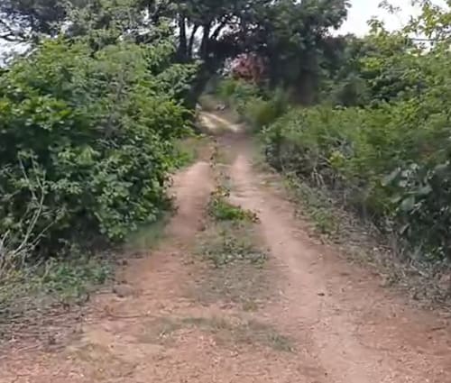 An image of land