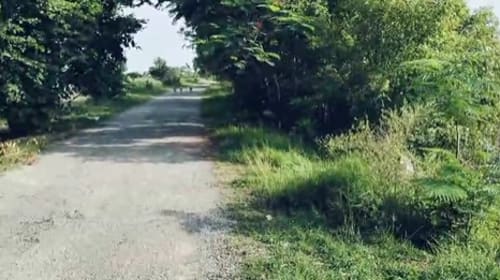 An image of land