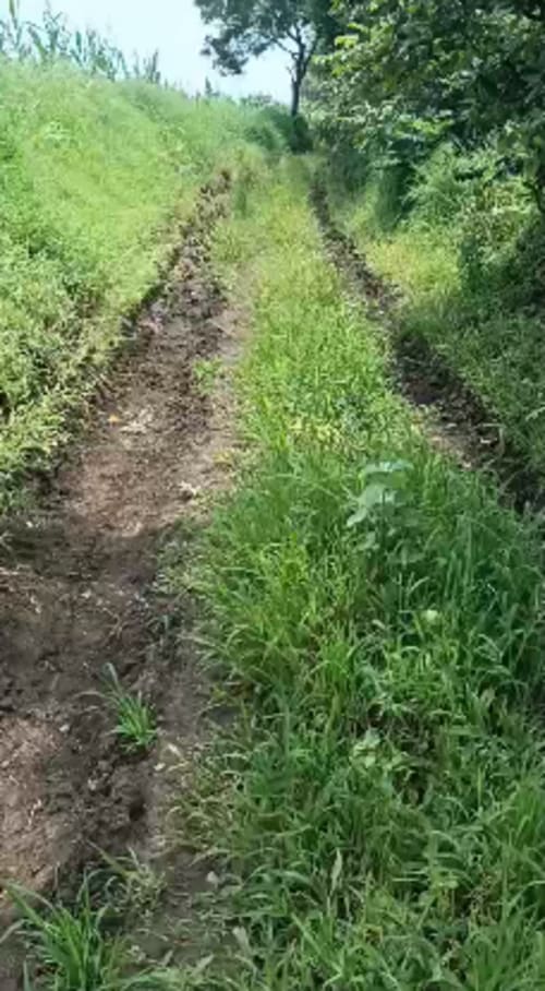 An image of land