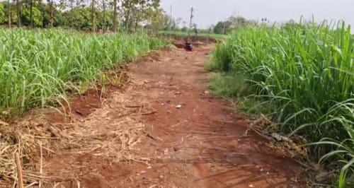 An image of land