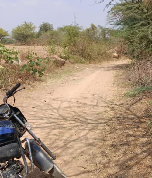 An image of land