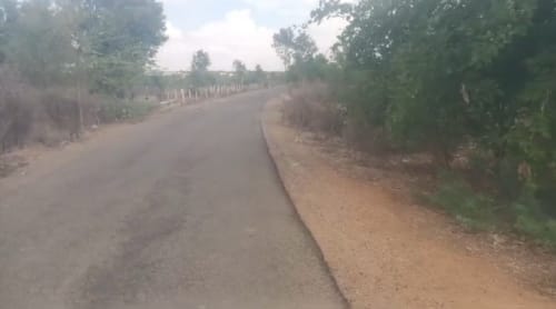 An image of land