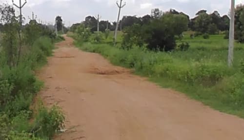 An image of land