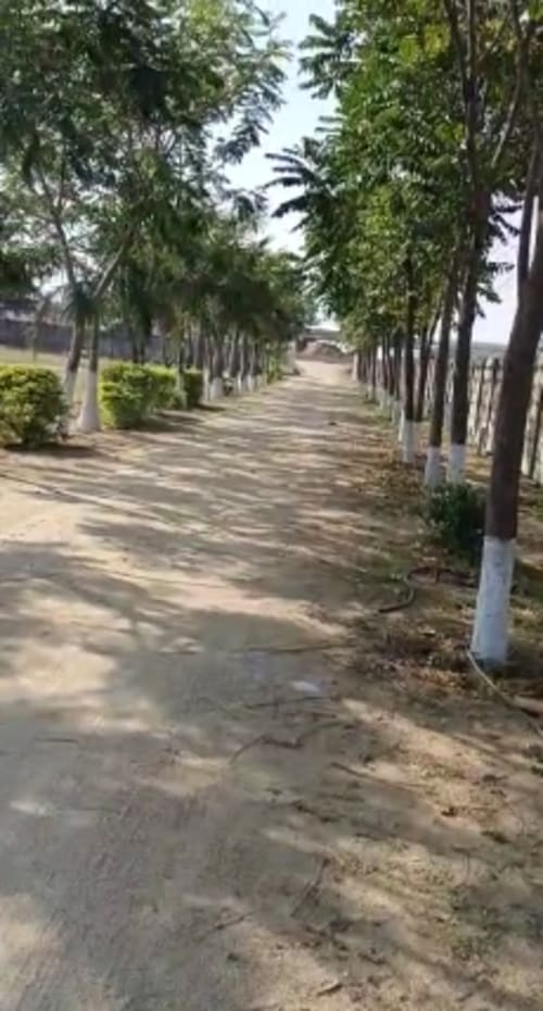 An image of land