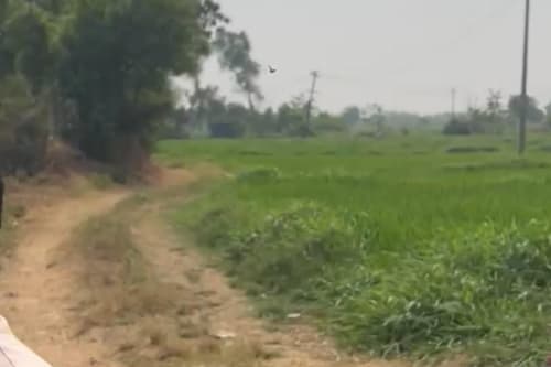 An image of land