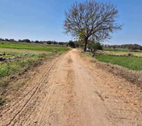 An image of land