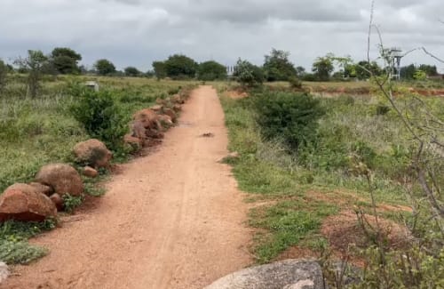 An image of land