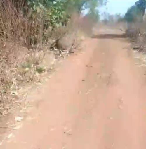 An image of land